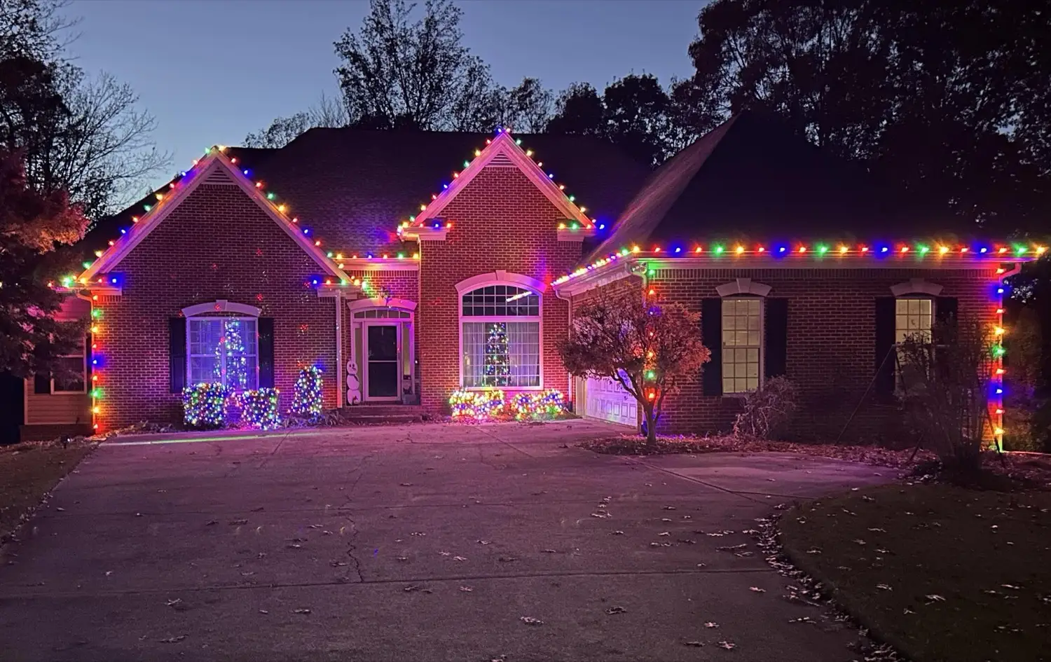 Brick home at dusk with multicoloured C9 bulbs on the roofline and every gable, and the foundation shrubs and small tree wrapped in matching multicoloured mini lights