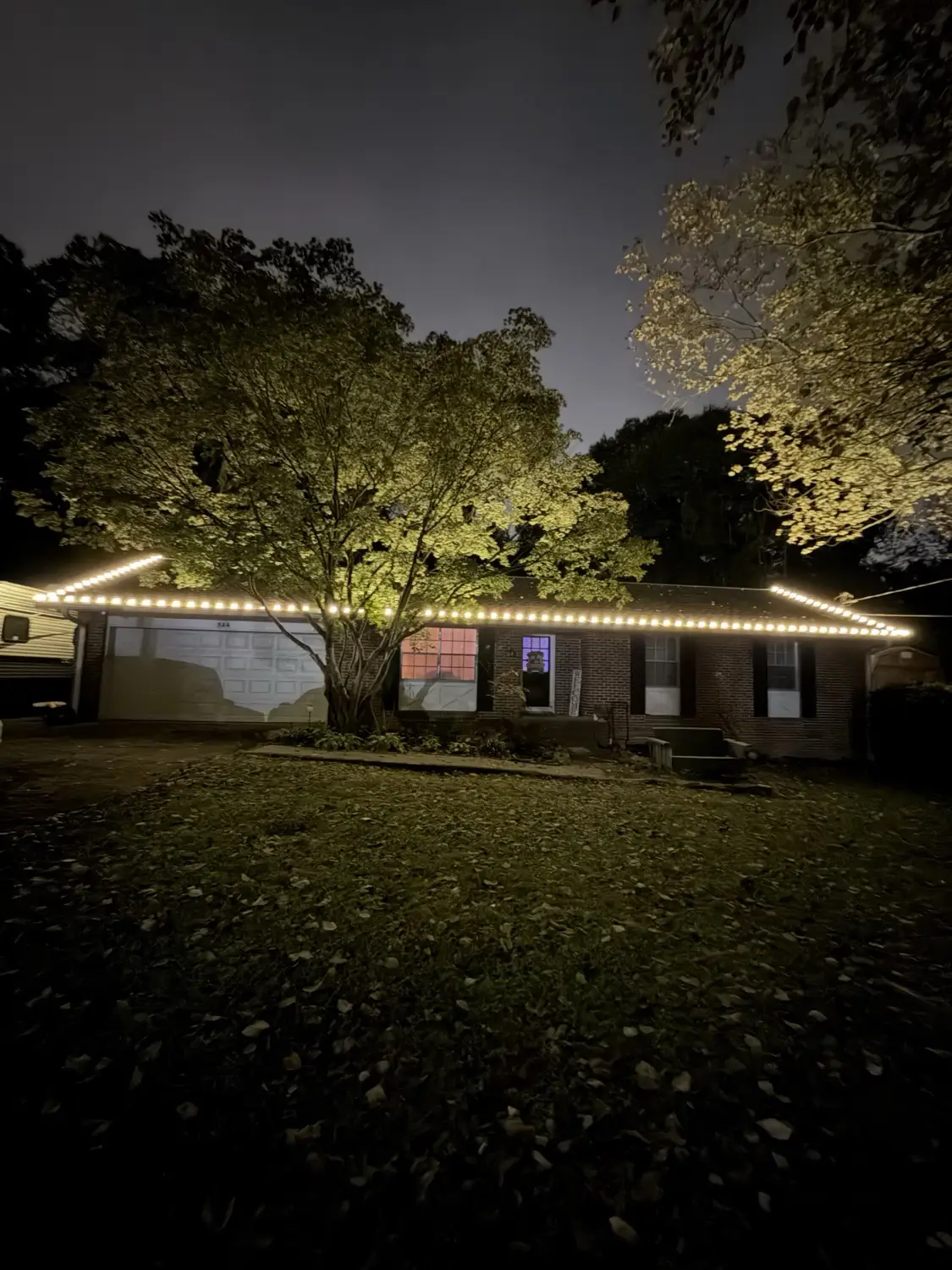 Brick ranch home at night with warm white C9 bulbs spaced evenly along the full front roofline and garage, lighting the tree in the front yard