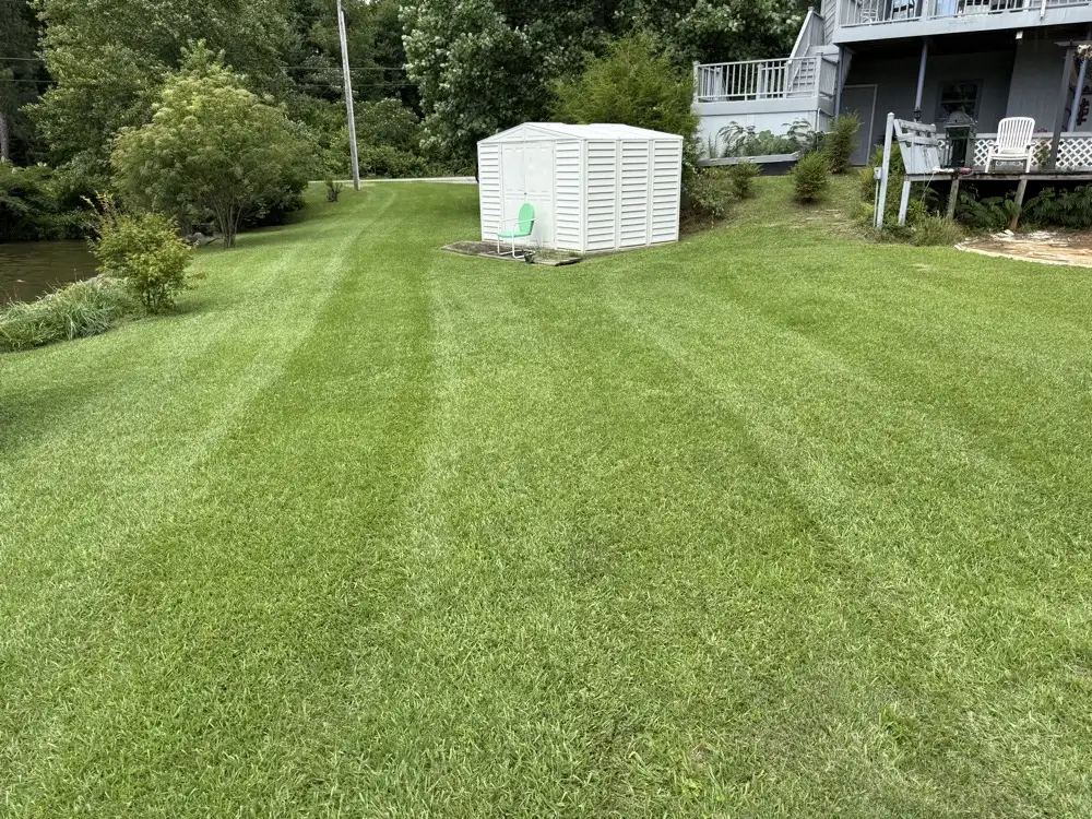 Backyard sloping down toward a creek, mowed in straight stripes around a white storage shed and up to a deck